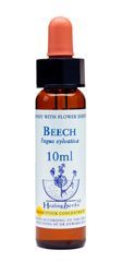 Dr Bach, Beech - Buk czerwony, krople, 10 ml