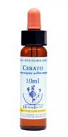 Dr Bach (Healing herbs) - Cerato - Ceratostigma, krople 10 ml