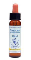 Dr Bach (Healing herbs) - Chicory - cykoria,  krople, 10 ml