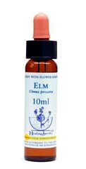 Dr Bach (Healing herbs) - Elm - Wiąz angielski, krople 10 ml