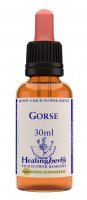 Dr Bach (Healing herbs) - Gorse - Kolcolist zachodni, krople, 30ml