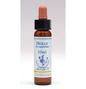 Dr Bach (Healing herbs) Holly - Ostrokrzew, krople 10 ml