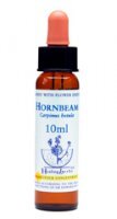 Dr Bach (Healing herbs) Hornbeam - Grab pospolity, krople 10 ml