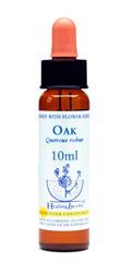 Dr Bach (Healing herbs) - Oak - Dąb szypułkowy, krople 10 ml