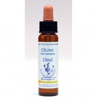 Dr Bach (Healing herbs) - Olive - oliwka europejska, krople, 10 ml