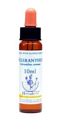 Dr Bach (Healing herbs) Scleranthus - Czerwiec jednoroczny, krople, 10 ml
