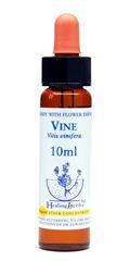 Dr Bach (Healing herbs) - Vine - Winorośl, krople 10ml