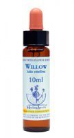 Dr Bach (Healing herbs) -  Willow - Wierzba biała, krople, 10 ml