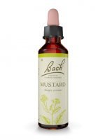 Dr Bach, Mustard - Gorczyca polna, krople, 20 ml