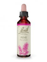 Dr Bach, Pine - Sosna, krople 20 ml