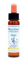 Dr Bach Wild oat - Stokłosa gałęzista, krople 10 ml